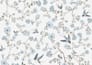 create custom seamless surface pattern designs and murals